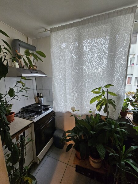 Herastrau, proprietar, 2 camere decomandat,  350m, 500m m6, etaj 2/4,